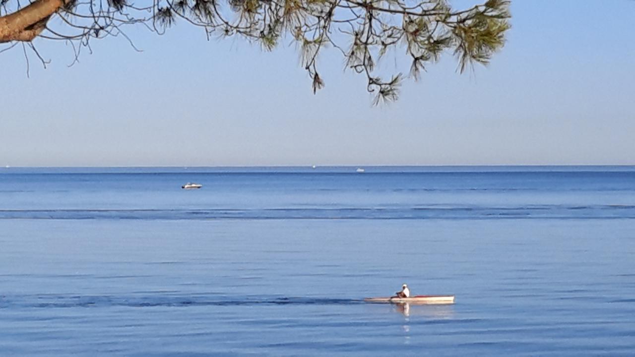 Appart Bleu Azur แซ็งต์-โฟลร็องต์ ภายนอก รูปภาพ